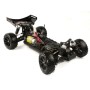Coche rc Buggy Spirit EBD 1/10 45Km/h VRX