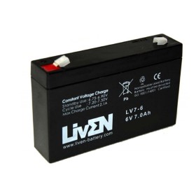 Batería de plomo 6V 12A