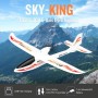 Avión RC Wltoys SKY KING F959S
