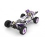 Coche RC Buggy Wltoys XKS DRIVING 1/14 60Km/h (Brushed)