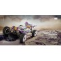 Coche RC Buggy Wltoys XKS DRIVING 1/14 60Km/h (Brushed)