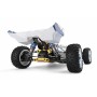 Coche RC Buggy Wltoys XKS 1/12 75Km/h (Brushless)