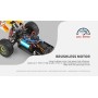 Coche RC Buggy Wltoys Driving 1/14 Brushless