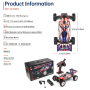 Coche RC Buggy Wltoys 124008 1/12 60Km/h (Brushless)