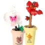 Plantas con maceta en Kit Cubix (10 modelos)