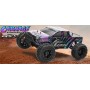 Coche RC Monster Truck FTX CARNAGE 2.0 1/10 60Km/h (Brushless)