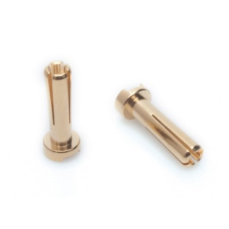 CONECTOR ORO 4MM ANGULAR MACHO