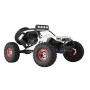 Pack Coche RC Crawler Wltoys 12429 STORM con 2 Baterías