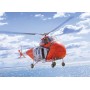 Maqueta Helicoptero 1/72 HO4S-3 / HAS.7 /H-19 Italeri
