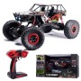 Coche RC Crawler Crazy Sub 1/10 (Brushed)