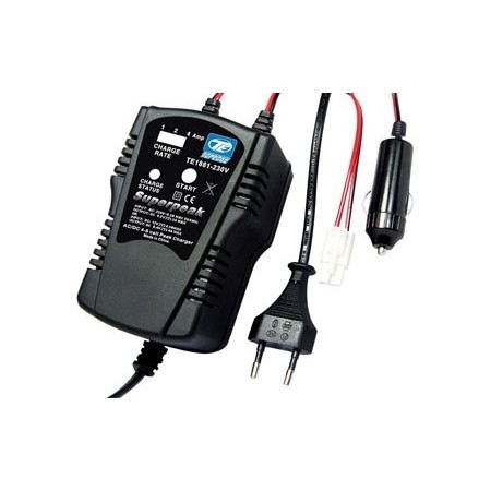 CARGADOR - DESCARGADOR 1 - 2 - 4 A