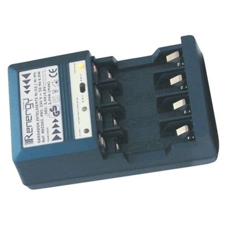 CARGADOR - DESCARGADOR RÁPIDO