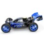 BUGGY 1/8 VRX-2 NITRO 3.5 RTR