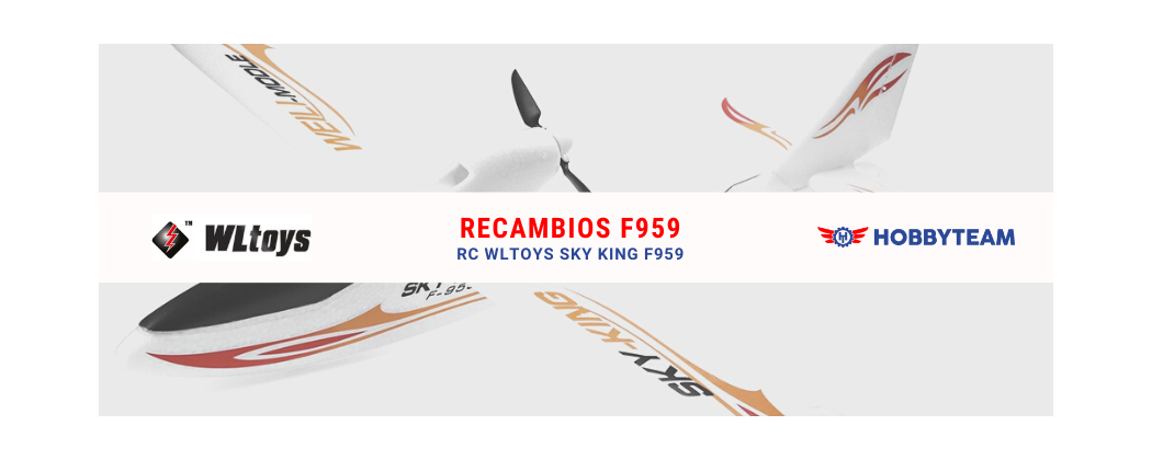 Avion radiocommandé Wltoys SKY KING F959
