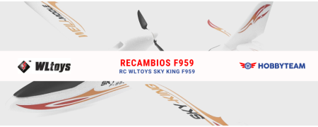 Avion radiocommandé Wltoys SKY KING F959