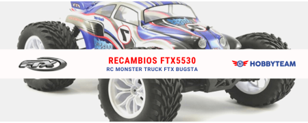 Voiture radiocommandée FTX BUGSTA