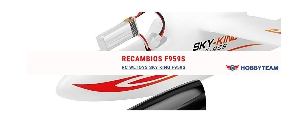 Avion radiocommandé Wltoys Sky King F959S