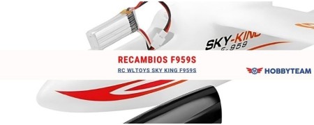 Avion radiocommandé Wltoys Sky King F959S